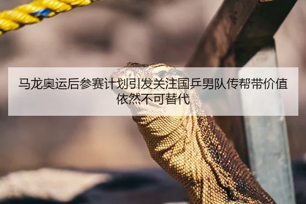 马龙奥运后参赛计划引发关注国乒男队传帮带价值依然不可替代