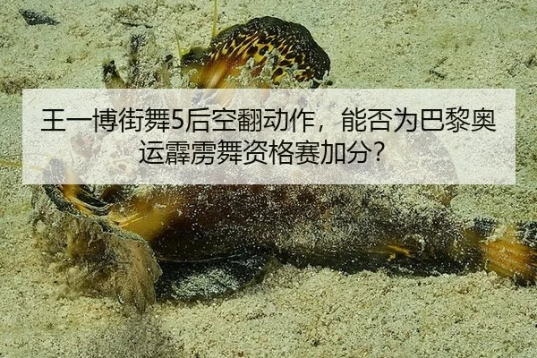王一博街舞5后空翻动作，能否为巴黎奥运霹雳舞资格赛加分？