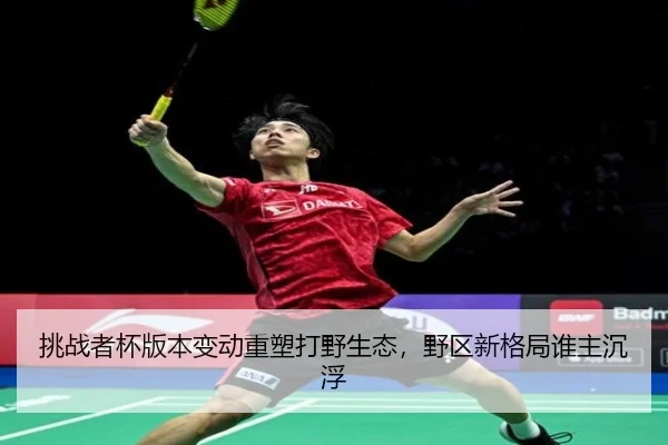 挑战者杯版本变动重塑打野生态，野区新格局谁主沉浮