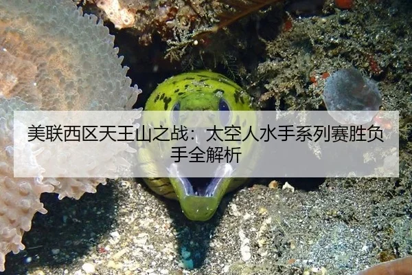 美联西区天王山之战：太空人水手系列赛胜负手全解析